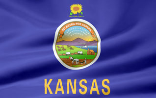 Kansas flag picture