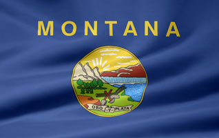 Montana flag picture