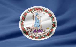 Virginia flag picture